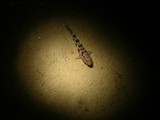 DSCN5182