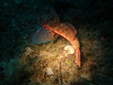 DSCN9267