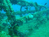 DSCN9432