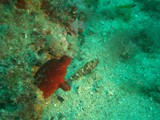 vrsar2010_08