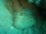 vrsar2010_46