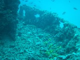 vrsar2010_59